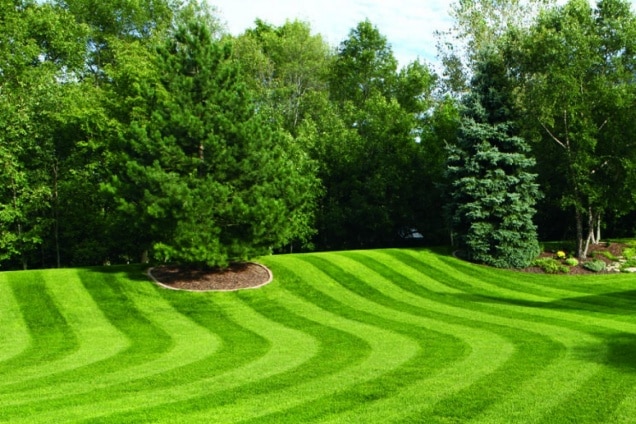 Gallery-Lawn-Care-06