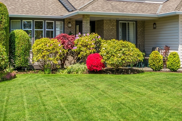 Gallery-Lawn-Care-10