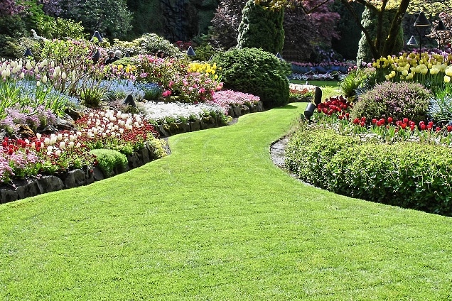 Gallery-Lawn-Care-11
