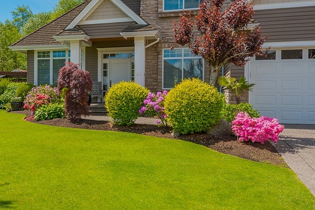 Gallery-Lawn-Care-12